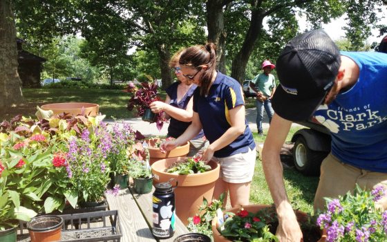 teachers pot terra cotta pots with a variety of plants